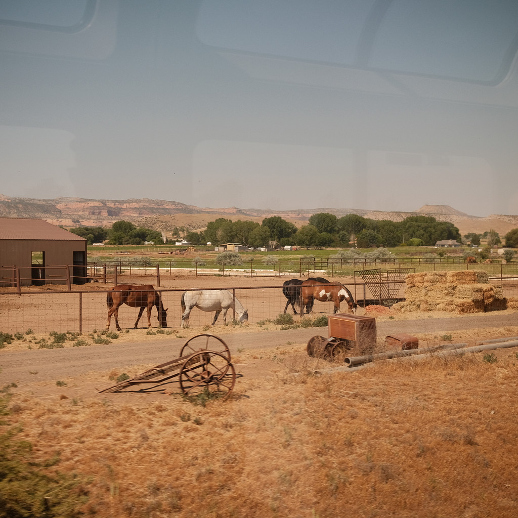 Somewhere Between Los Angeles and Denver photo 13
