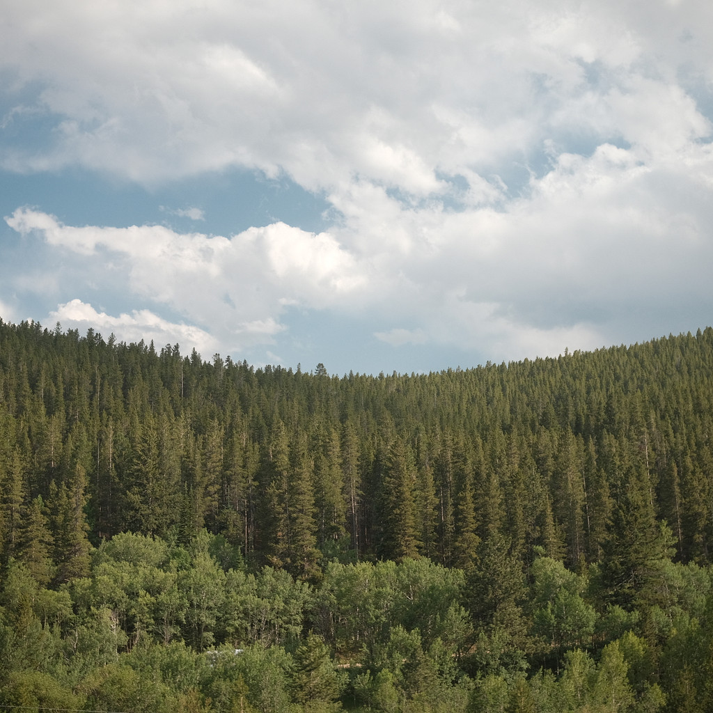 Somewhere Between Los Angeles and Denver photo 12